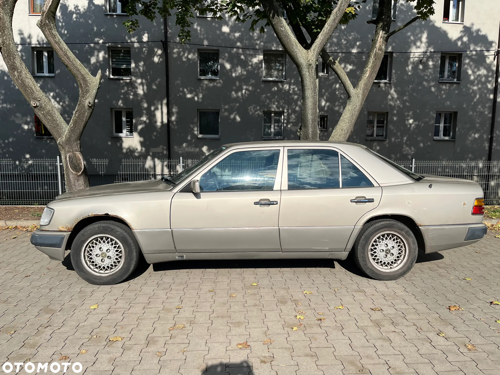 Mercedes-Benz W124 (1984-1993) - 2