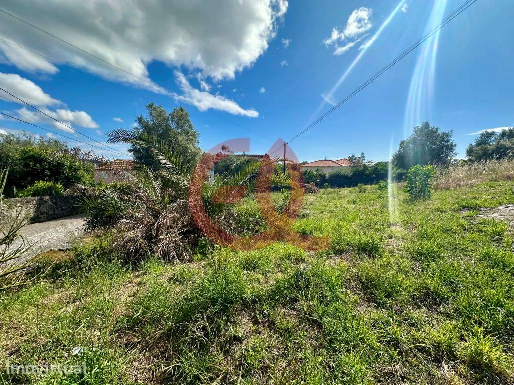 Lote - Serreleis, Viana do Castelo - Grande imagem: 4/29