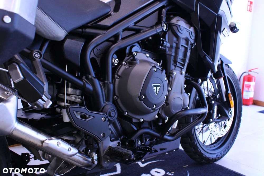 Triumph Tiger - 25