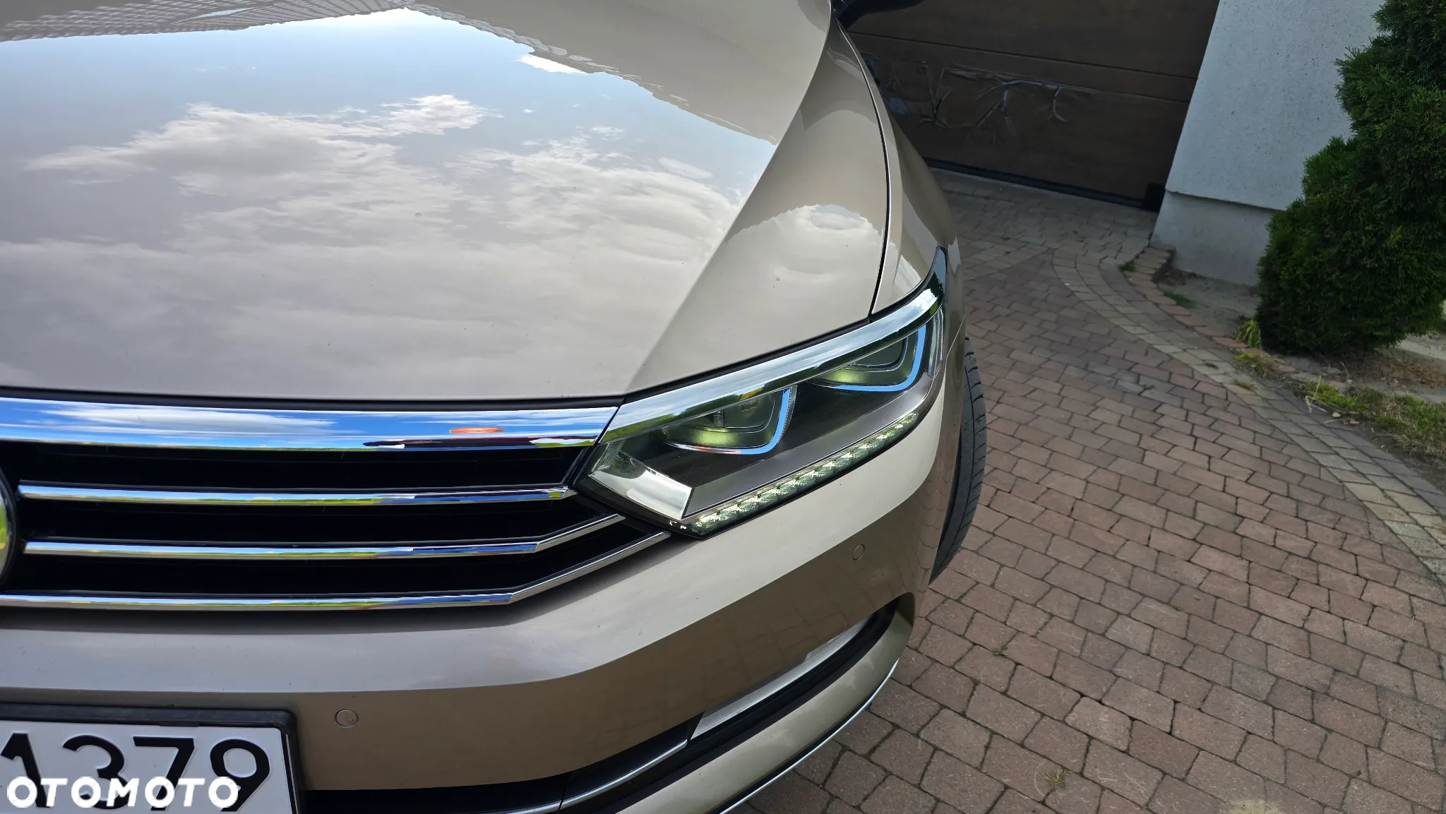 Volkswagen Passat - 16