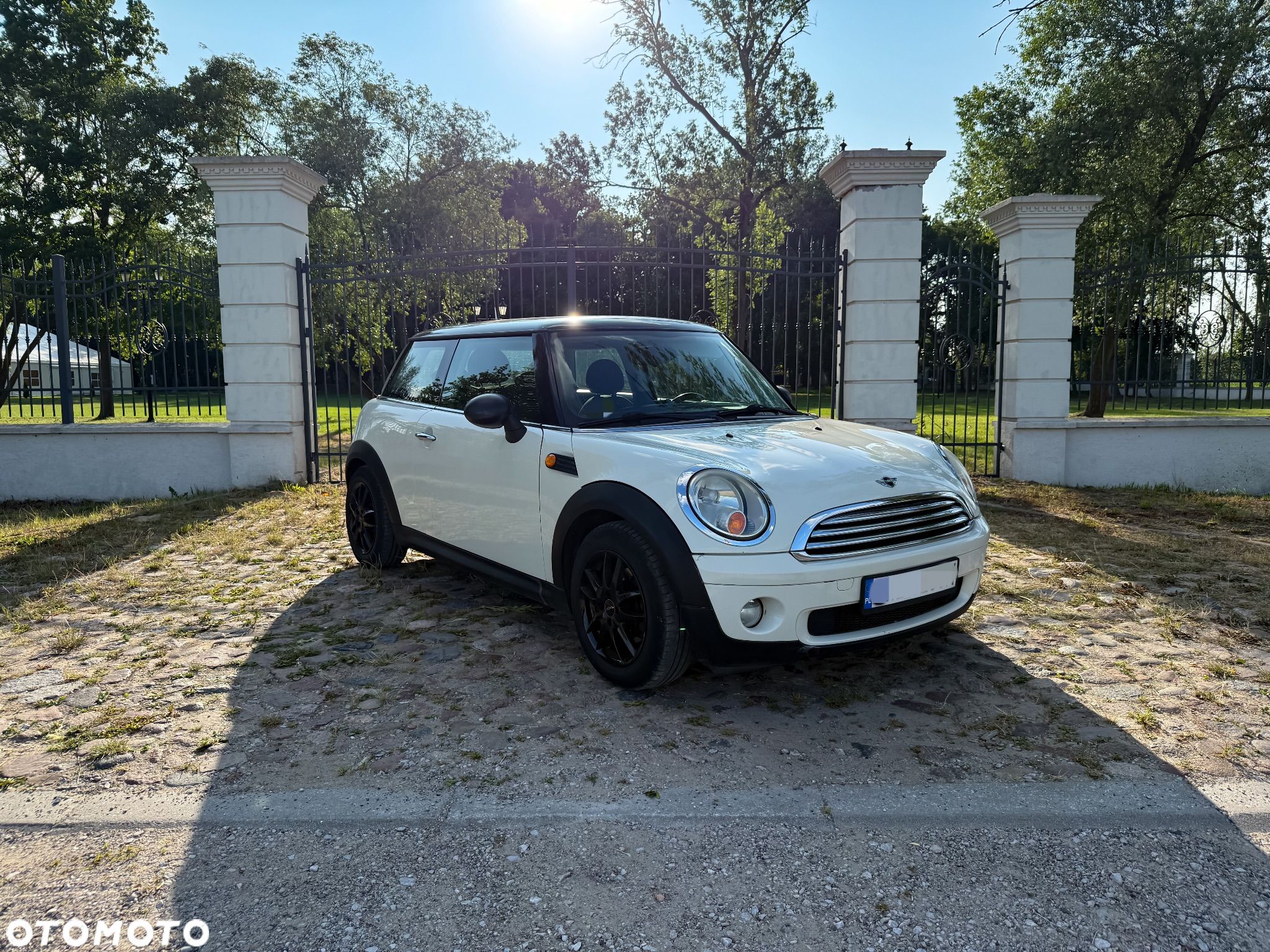 MINI ONE Standard - 1