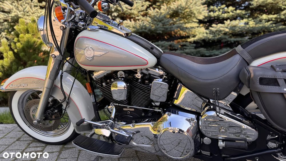 Harley-Davidson Softail - 6