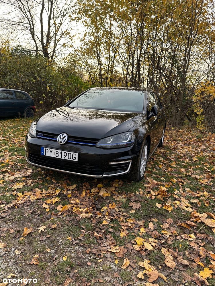 Volkswagen Golf - 16