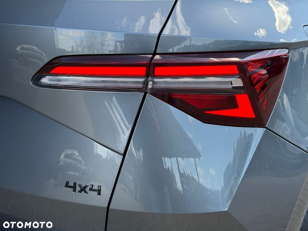 Skoda Karoq 2.0 TSI 4x4 Sportline DSG - 18