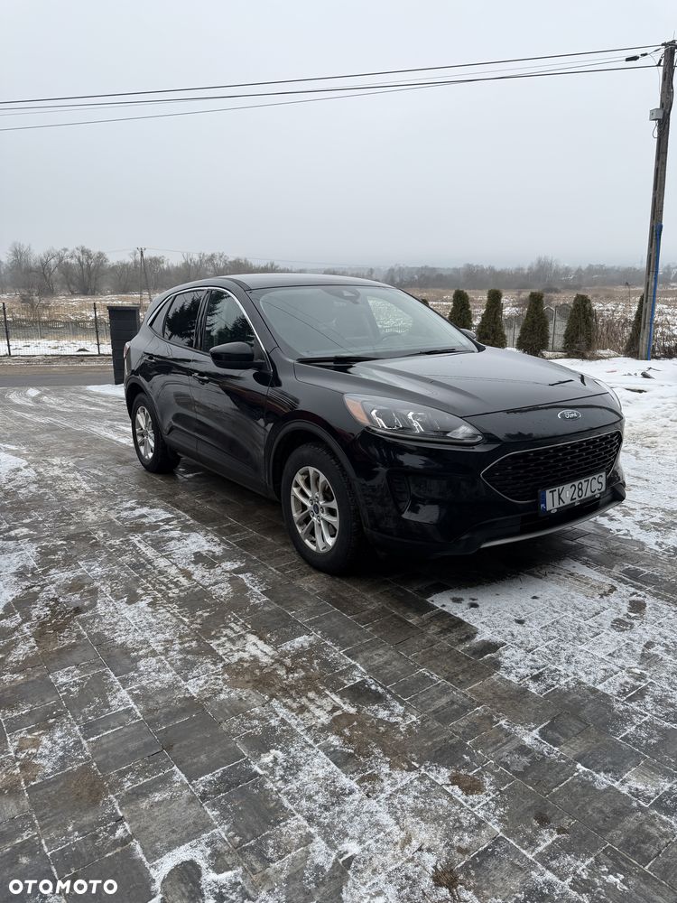 Ford Escape - 1
