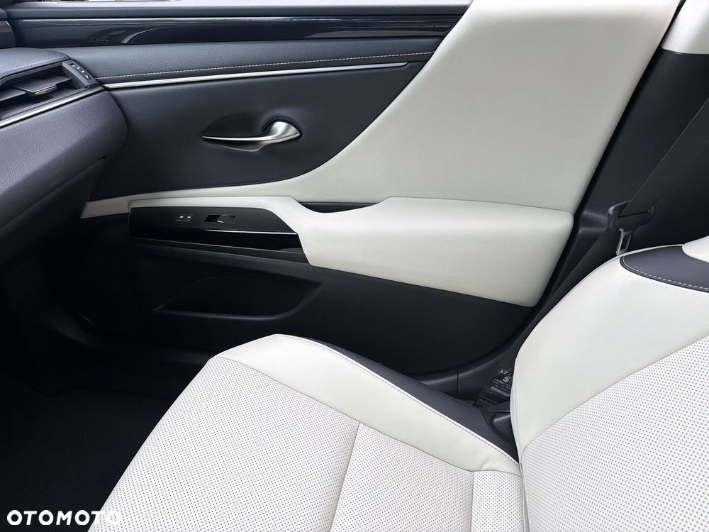 Lexus ES 300h F Sport Design - 22