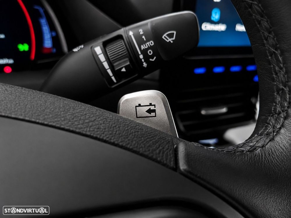 Hyundai Ioniq 38kWh Pack Pele - 30