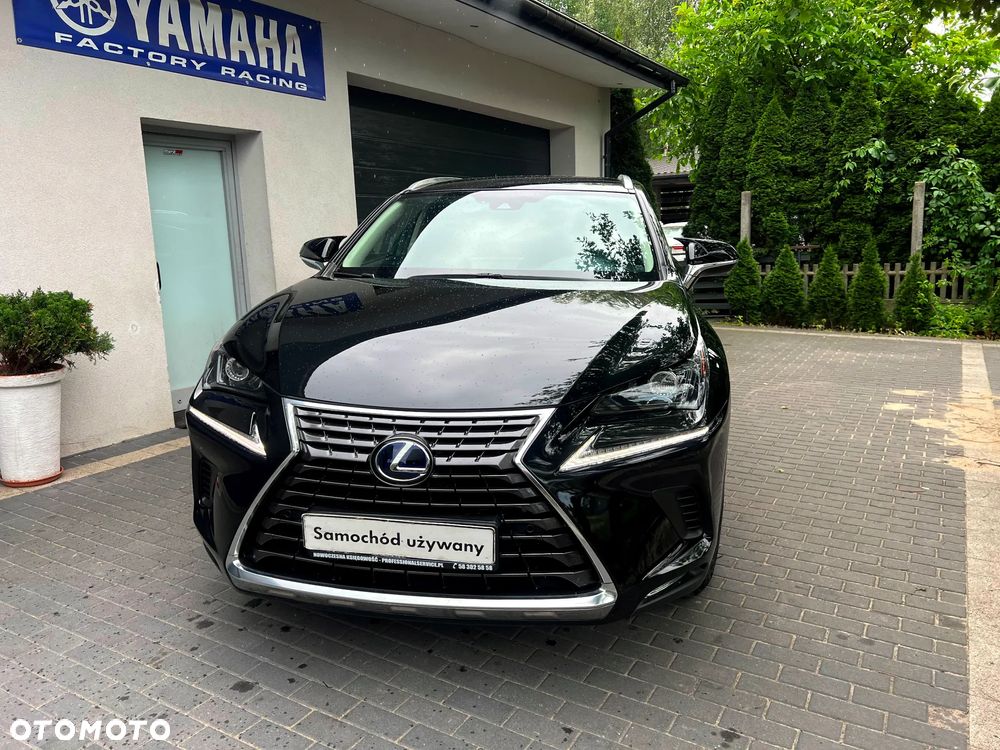 Lexus NX 300h Elegance + Business AWD - 7