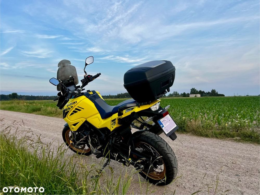 Suzuki DL - 10