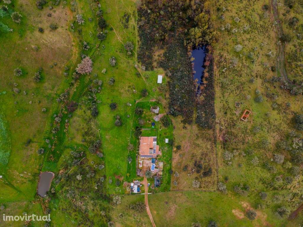 Quinta em Serpa com moradia T4 - Grande imagem: 5/30
