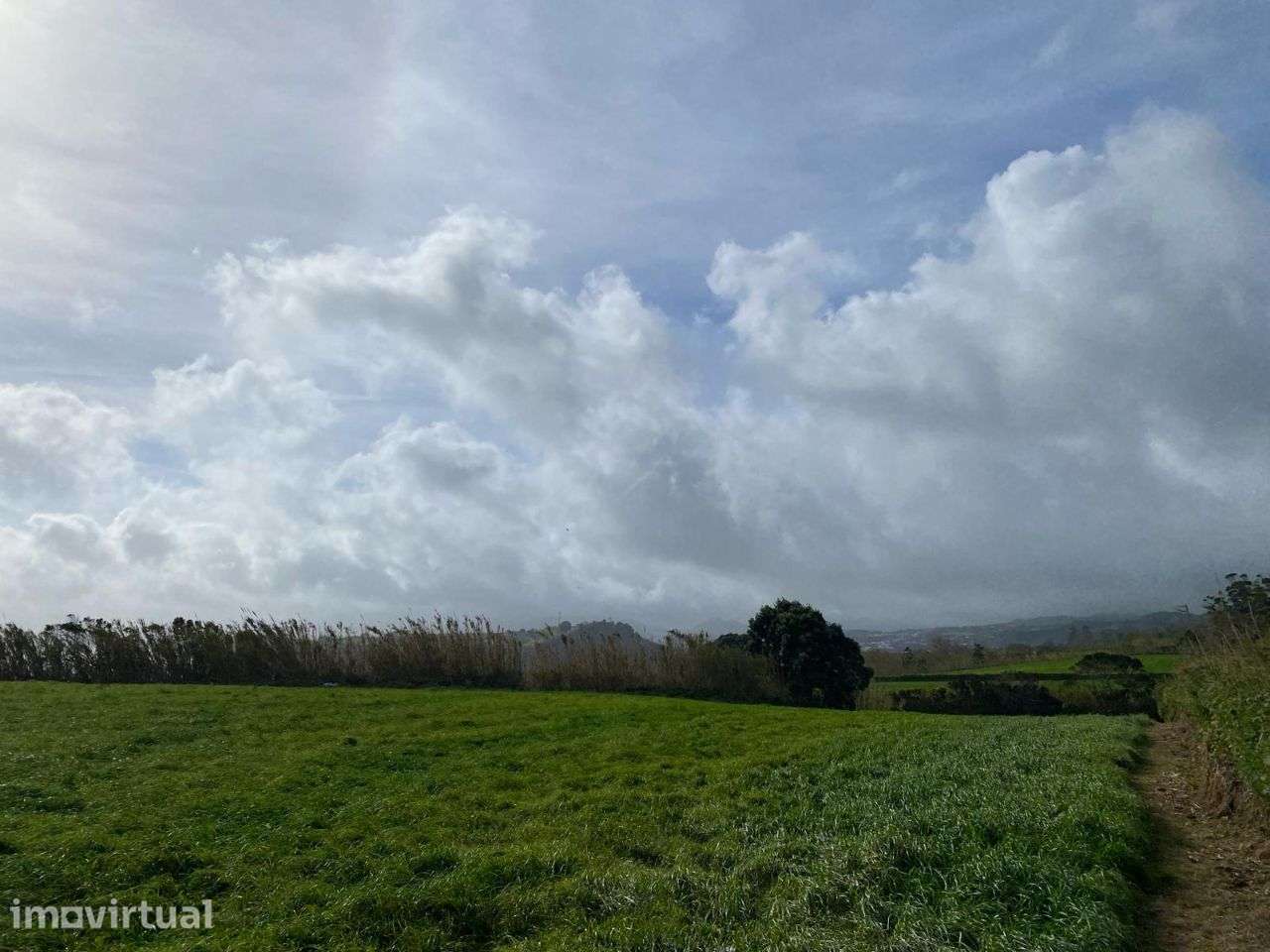 Terreno com vista ao norte de São Miguel, nas Figueiras - Grande imagem: 4/9