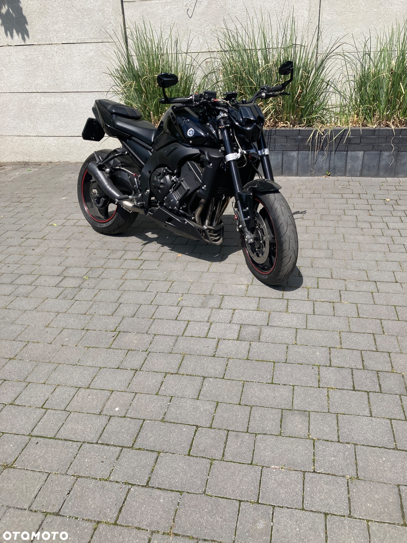 Yamaha FZ - 12