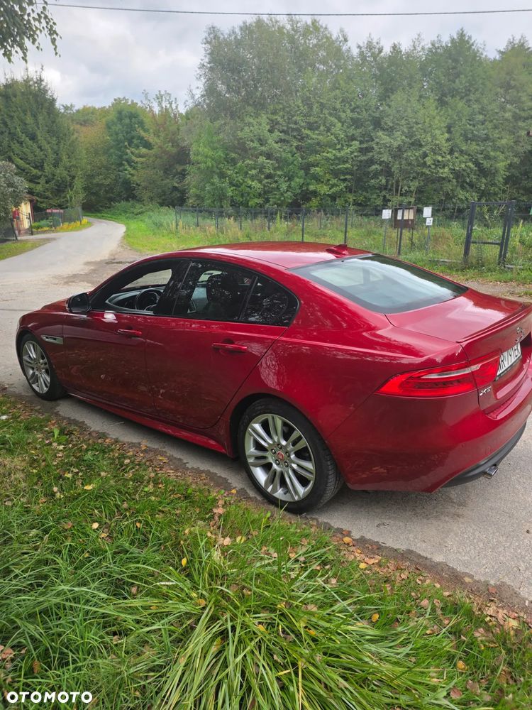 Jaguar XE E-Performance R-Sport - 7