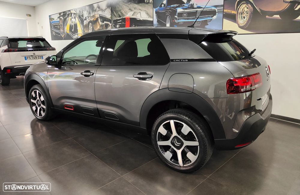 Citroën C4 Cactus 1.2 PureTech Shine - 19