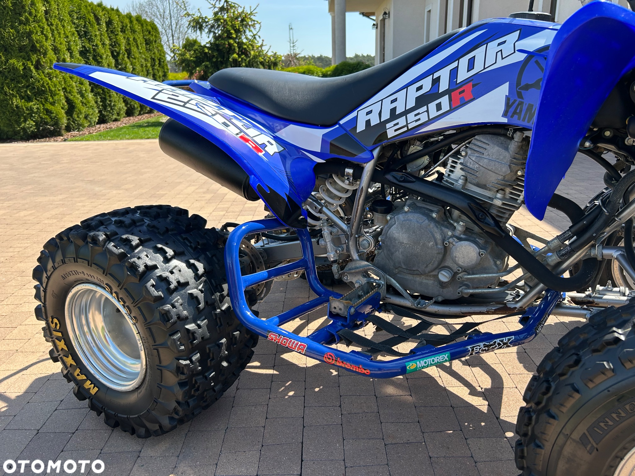 Yamaha Raptor - 18