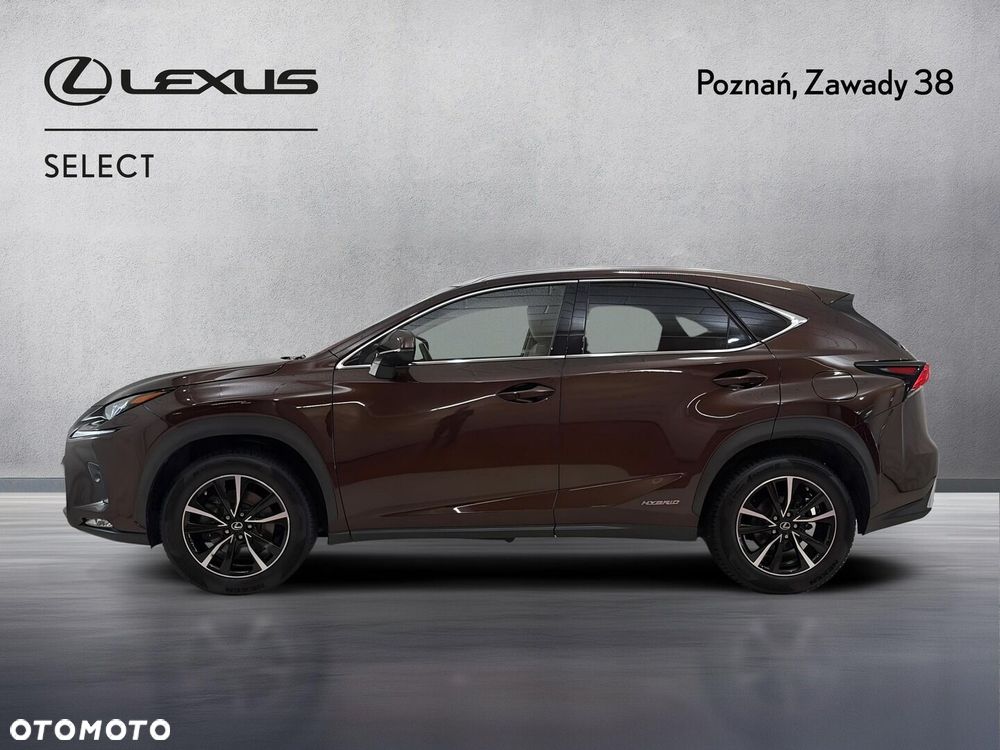 Lexus NX 300h Comfort AWD - 6
