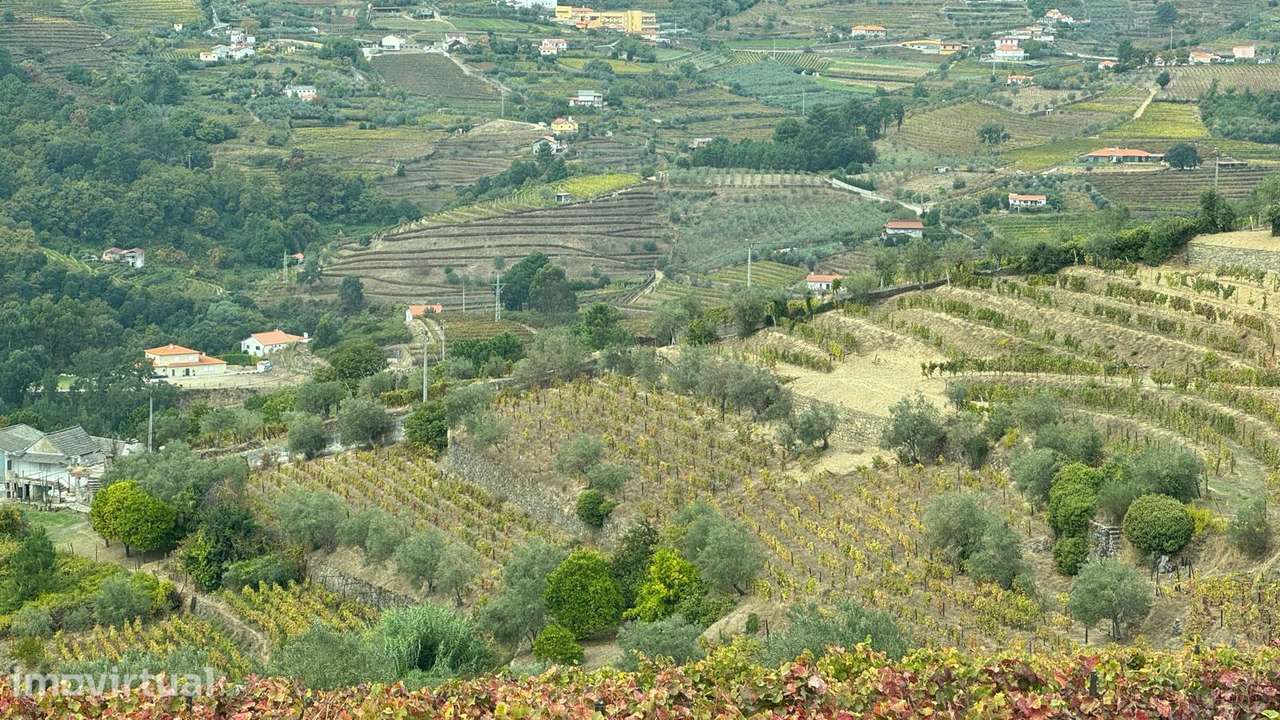 Quinta do Prado em Moura Morta, Régua - Grande imagem: 4/37