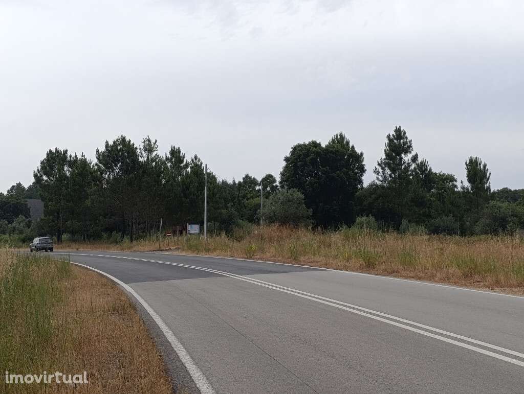 Quinta / Herdade em zona de Mouriscas, Santarém - Grande imagem: 3/20