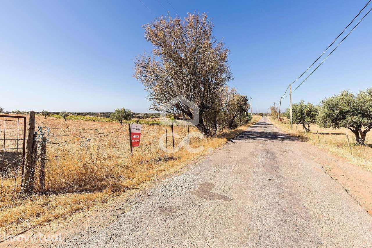Terreno Rústico de 7,35 ha c para Exploração Agrícola | Mourão, Évora - Grande imagem: 2/45