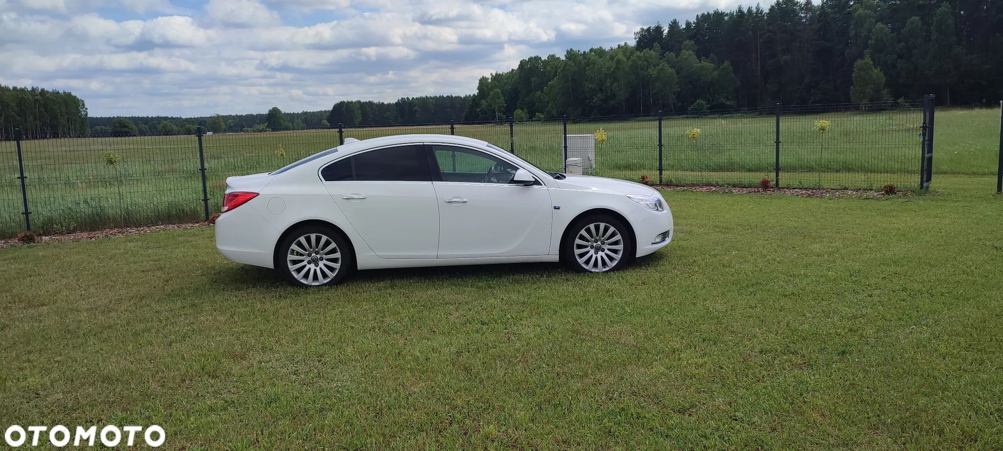 Opel Insignia 2.0 CDTI Cosmo - 1