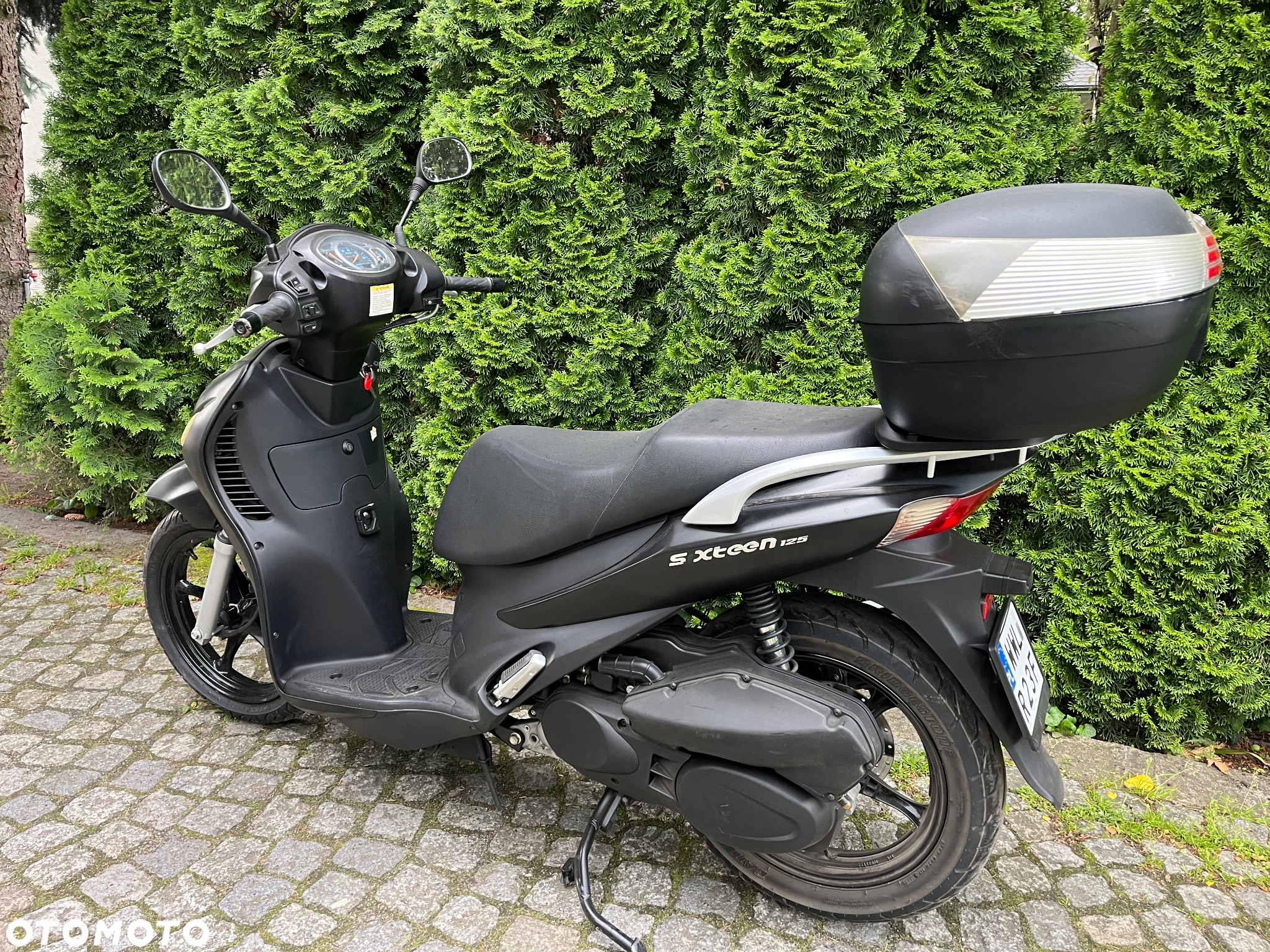 Suzuki Inny - 13