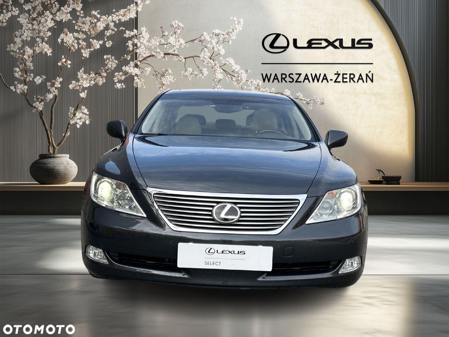 Lexus LS 460 Prestige - 10