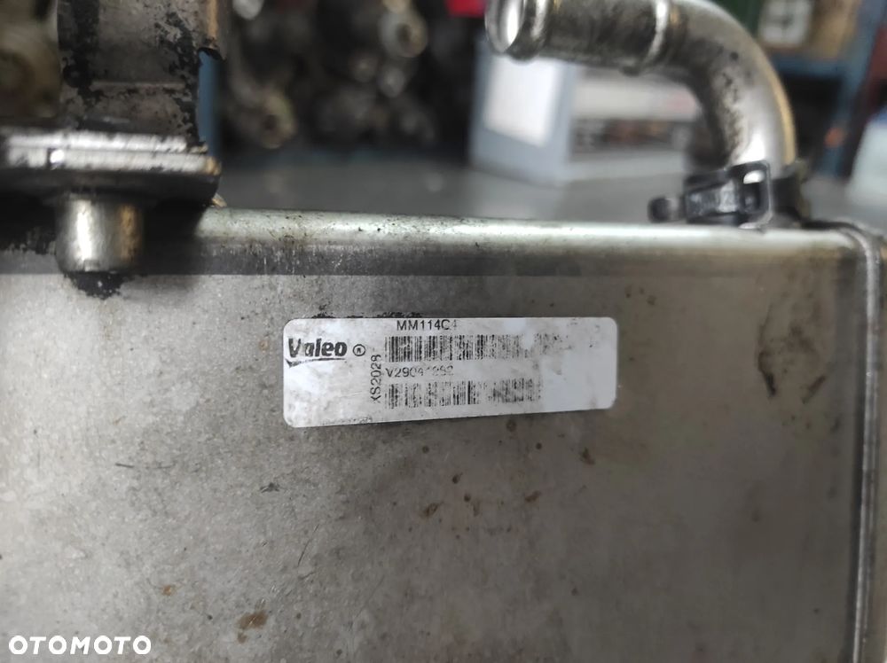 VW AUDI SEAT SKODA CHŁODNICA SPALIN EGR 2.0 TDI A4 B8 A6 C7 CGL CJC 03L131512DN SPRAWNA SZCZELNA 14 DNI GWARANCJI WYSYŁKA !!!!!!! - 4