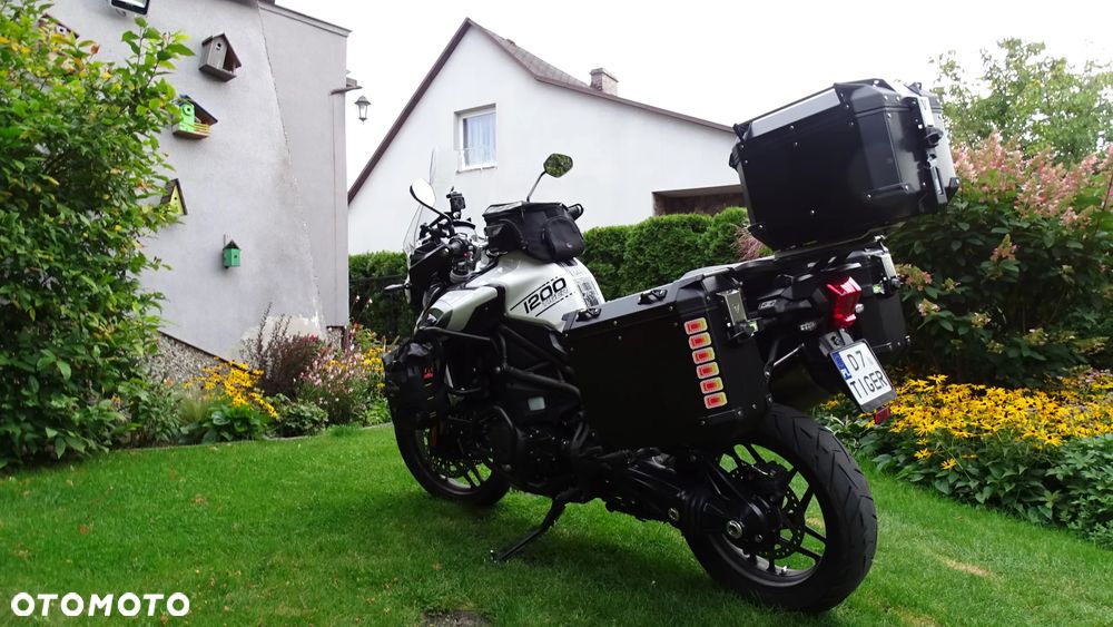 Triumph Tiger - 7