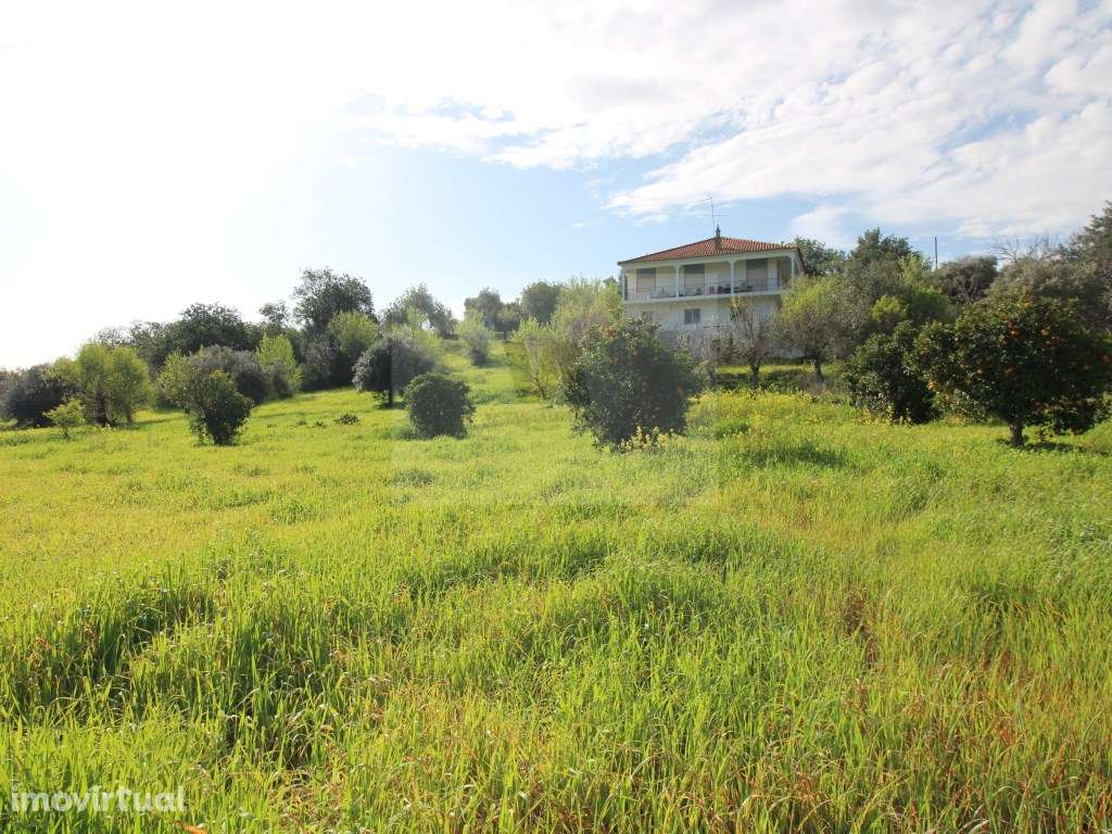 Moradia T3 independente com 8.490 m² de Terreno - Grande imagem: 2/15