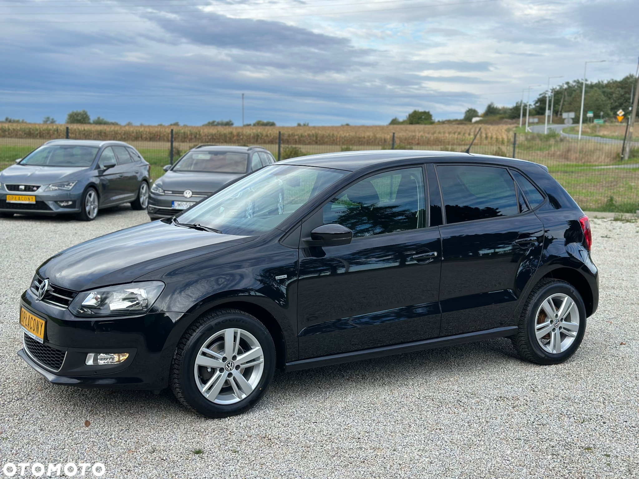 Volkswagen Polo - 6