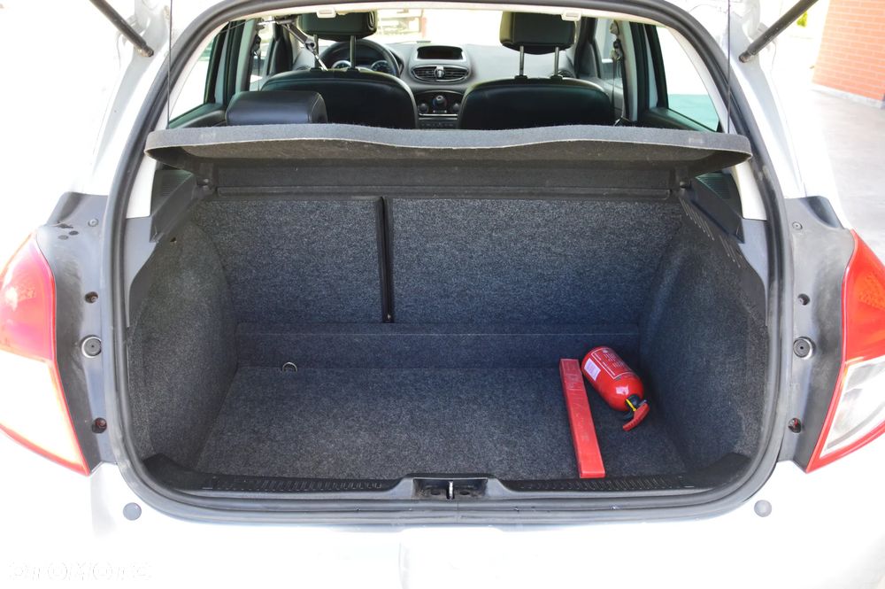 Renault Clio - 24