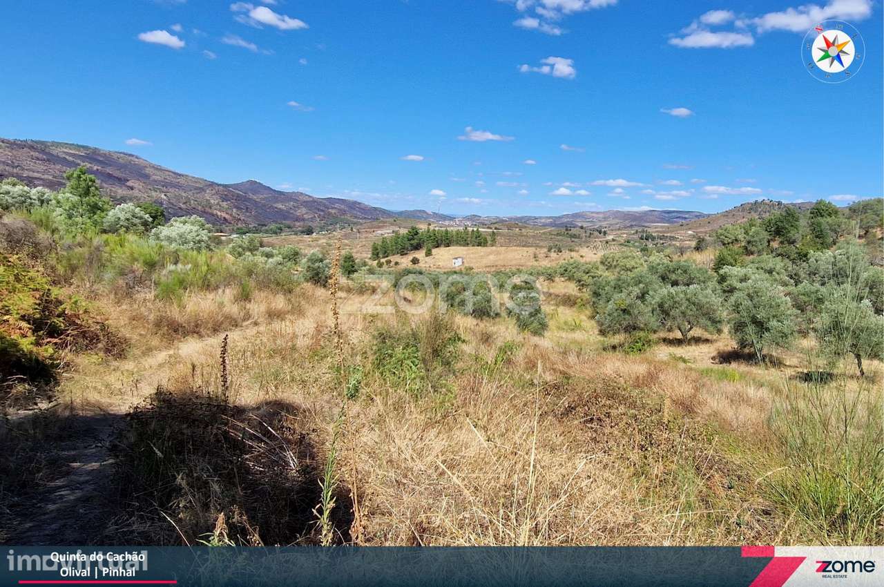 Quinta do Cachão – Refúgio Agrícola no Vale do Tua - Grande imagem: 4/18