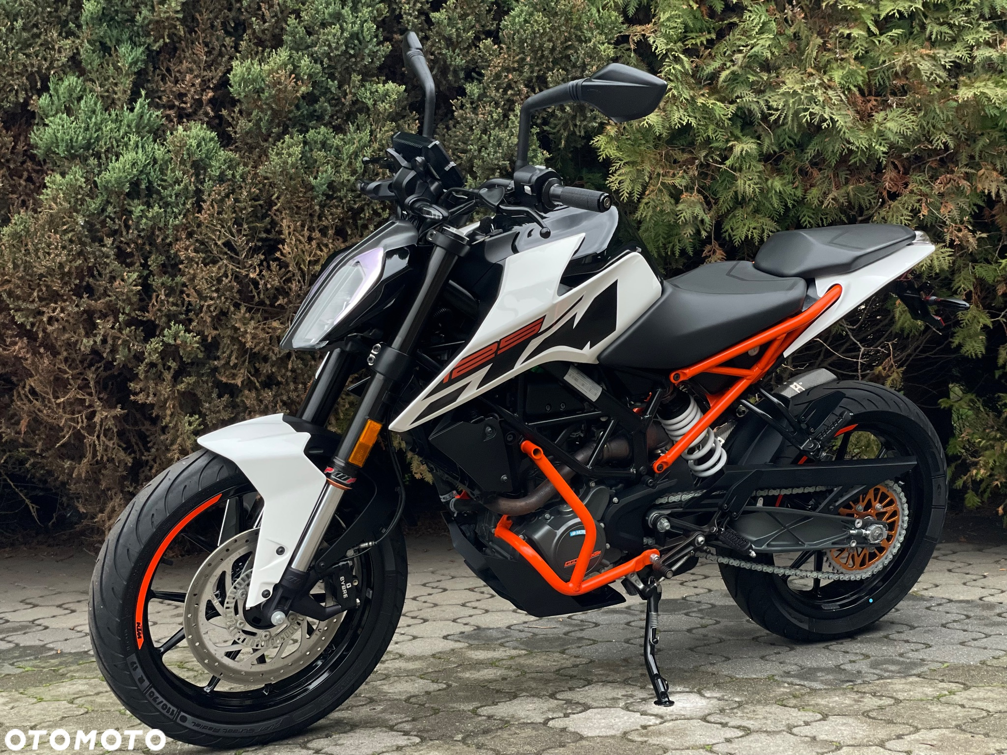 KTM Duke - 7