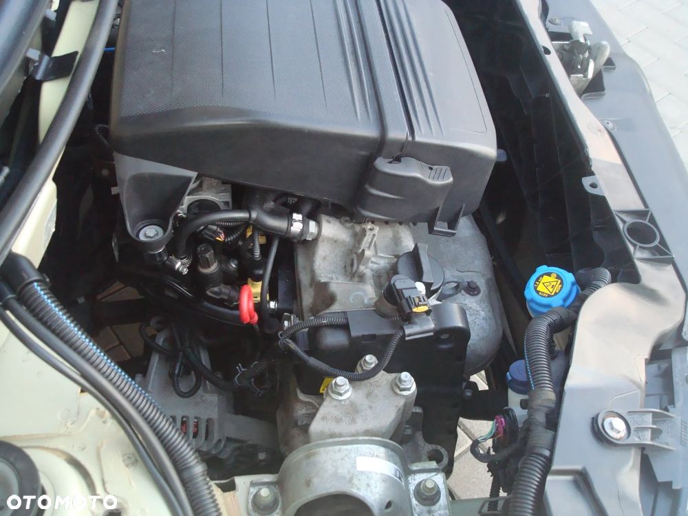 Fiat Panda 1.2 Alessi - 21