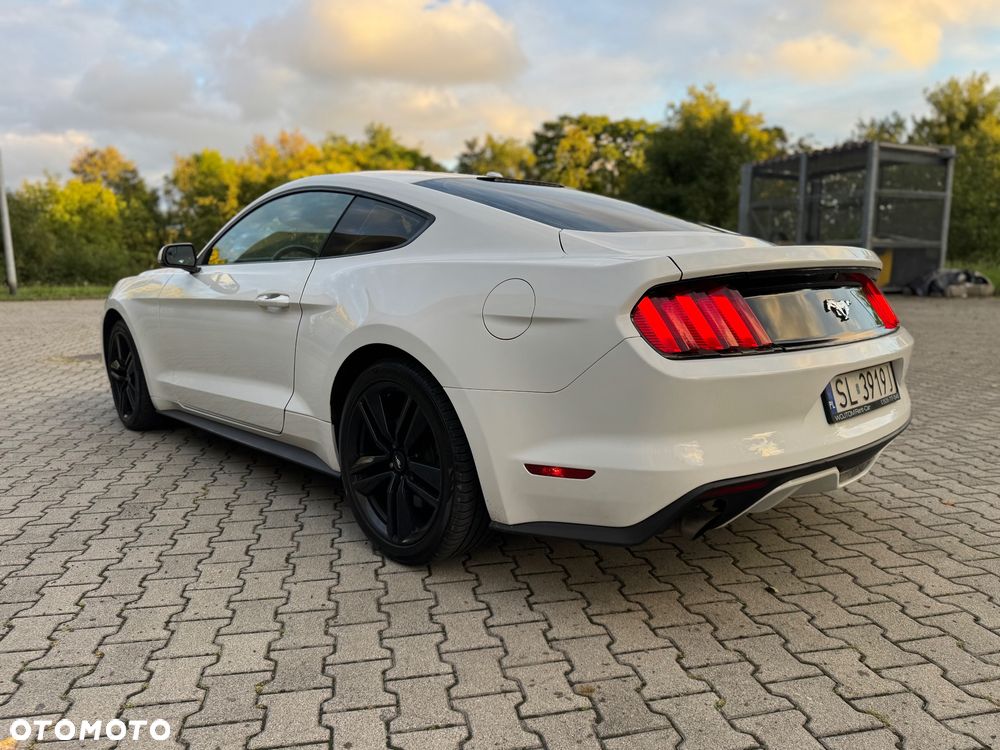 Ford Mustang 2.3 EcoBoost - 5