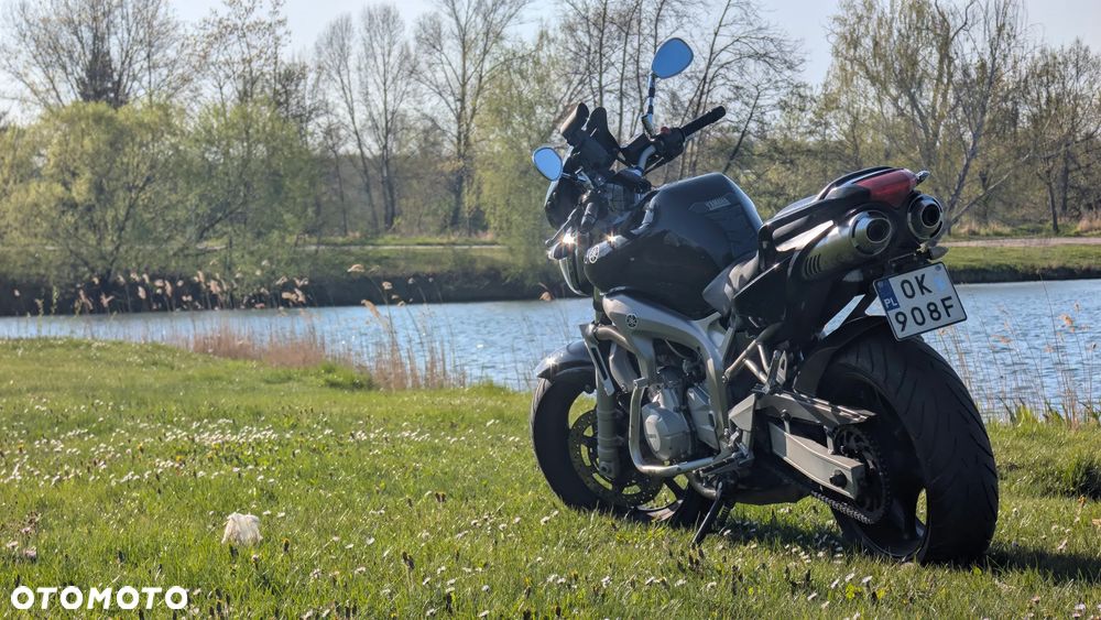 Yamaha FZ6 - 8