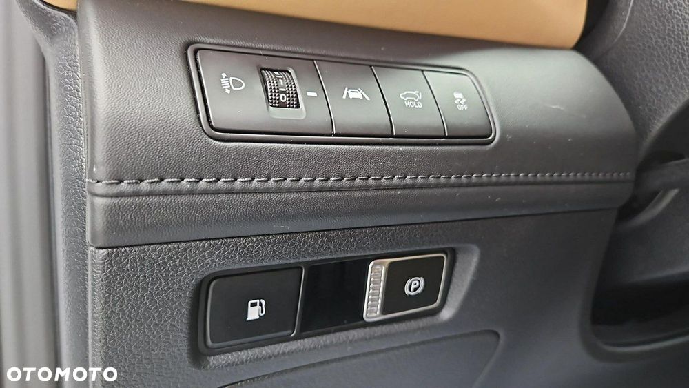 Hyundai Santa Fe - 17