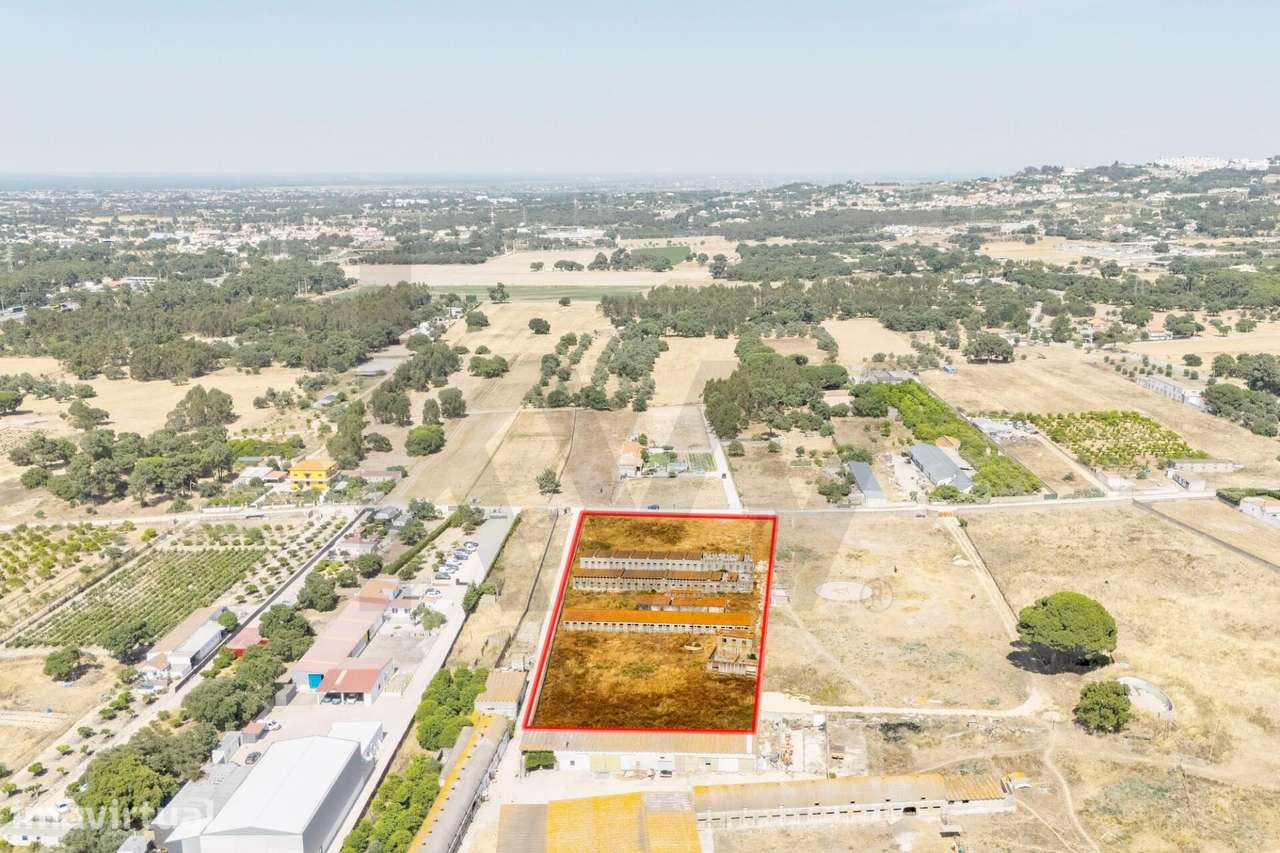 Invista no Sonho: Terreno 9.250 m2 c/ Potencial Único | Quinta do Anjo - Grande imagem: 2/41