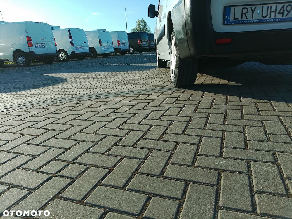 Fiat Scudo Jumpy Expert Proace L1 L2 Izoterma Chłodnia Mroźnia minus 20 na stoku 3os - 20