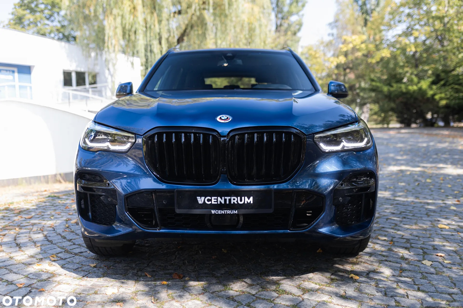 BMW X5 xDrive25d sport - 6