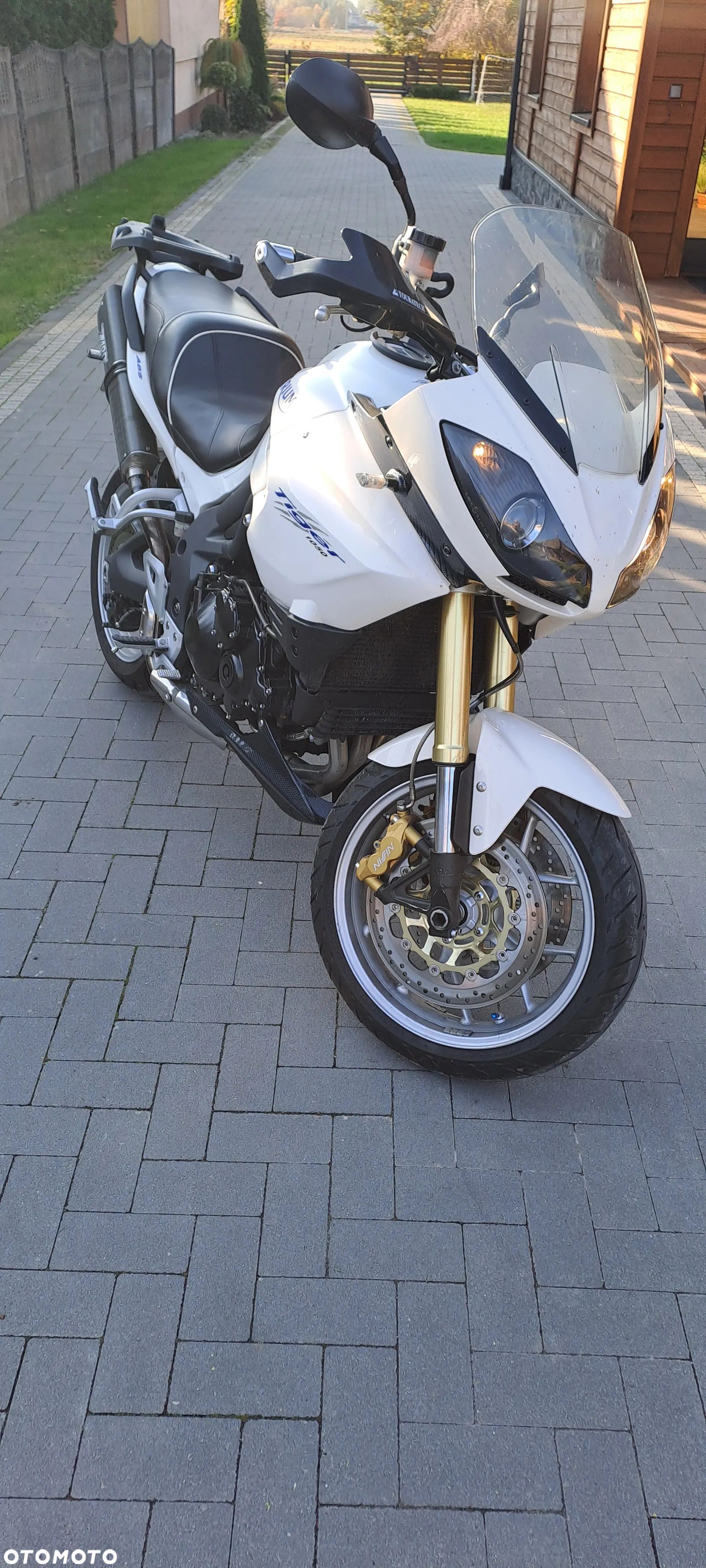 Triumph Tiger - 1