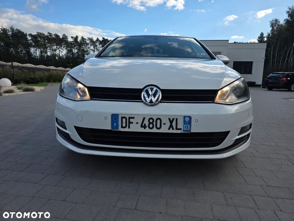 Volkswagen Golf - 17