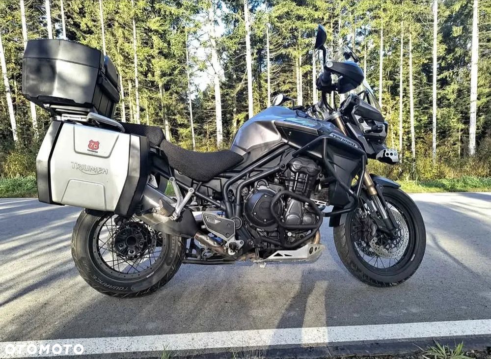 Triumph Tiger - 1