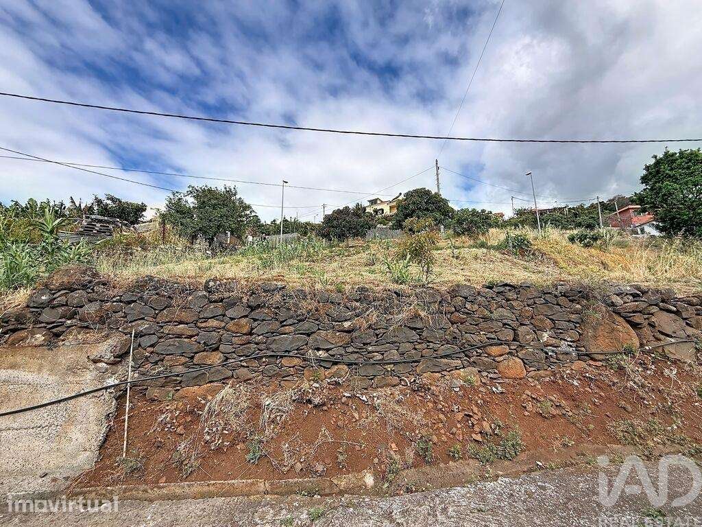 Terreno para construção em Santa Cruz - Grande imagem: 4/6
