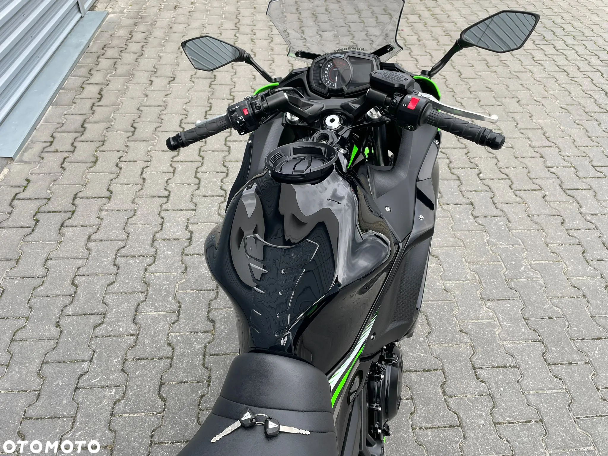 Kawasaki Ninja - 10