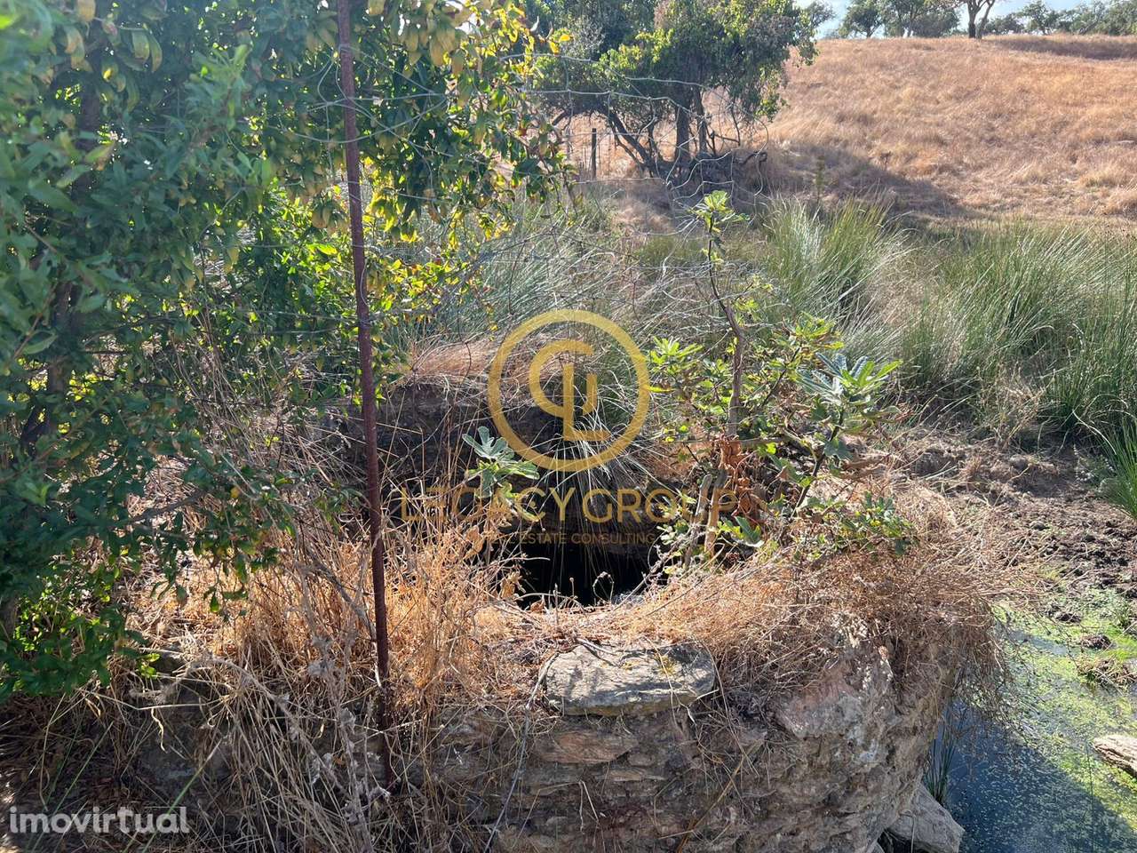Conjunto de Propriedades em Serpa – 32,750 Hectares - Grande imagem: 5/51