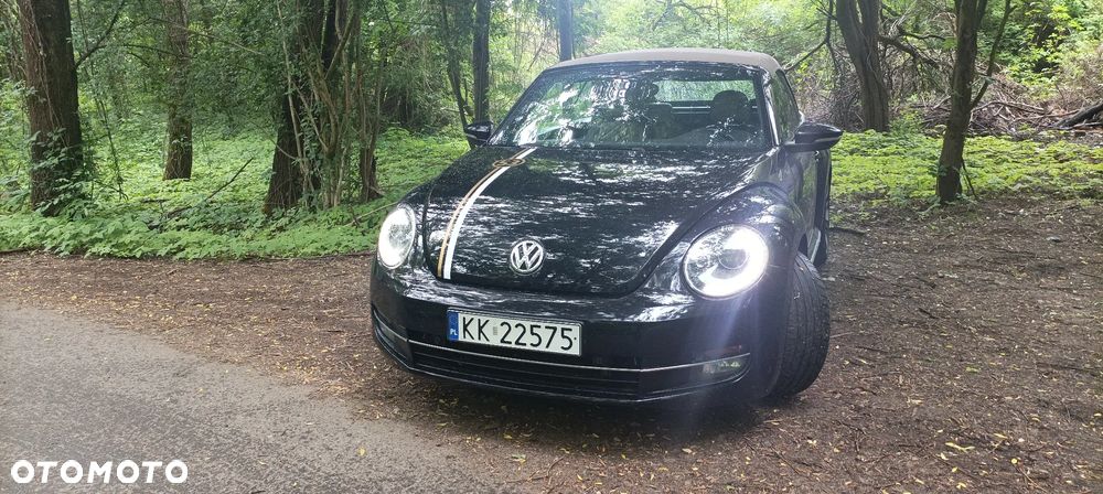 Volkswagen Beetle The Cabriolet 1.2 TSI (BlueMotion Tech) - 36