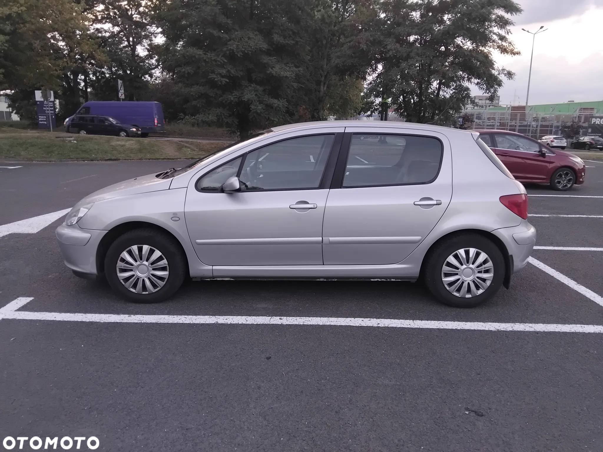 Peugeot 307 1.6 - 14