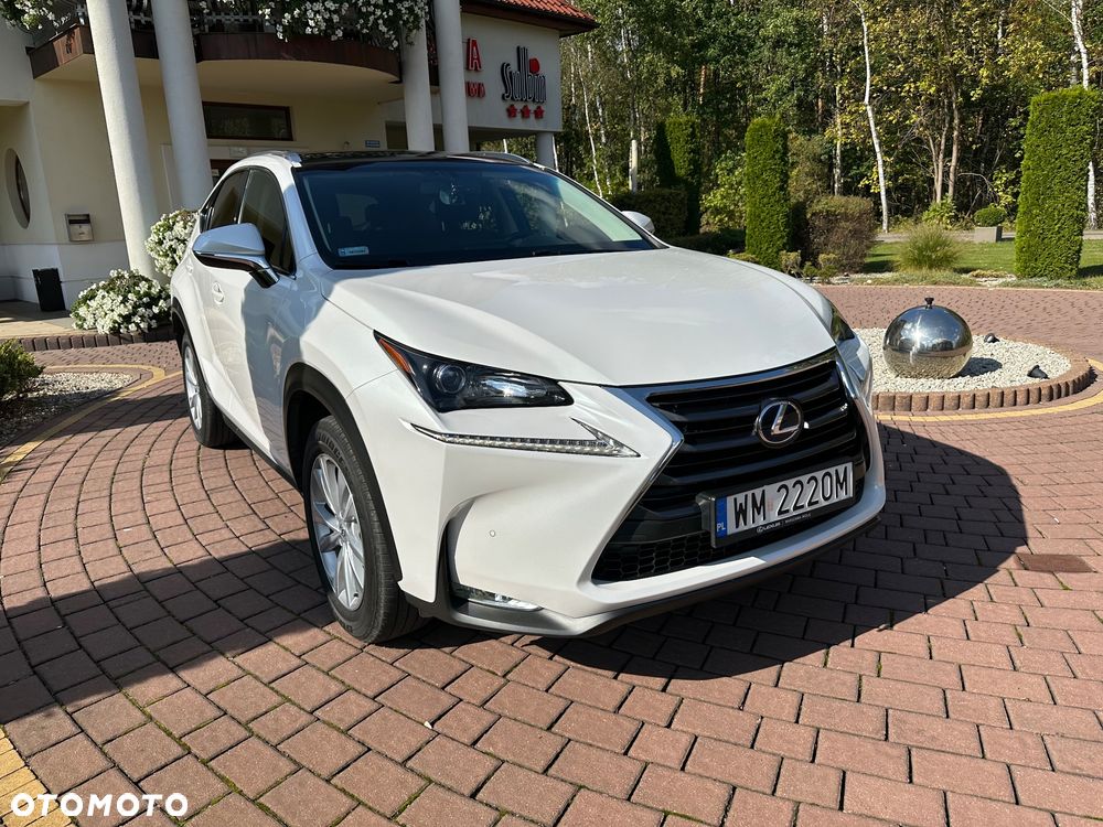Lexus NX - 17