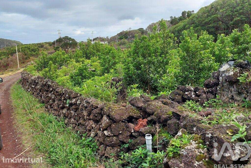 Terreno Agrícola em Piedade - Grande imagem: 3/16